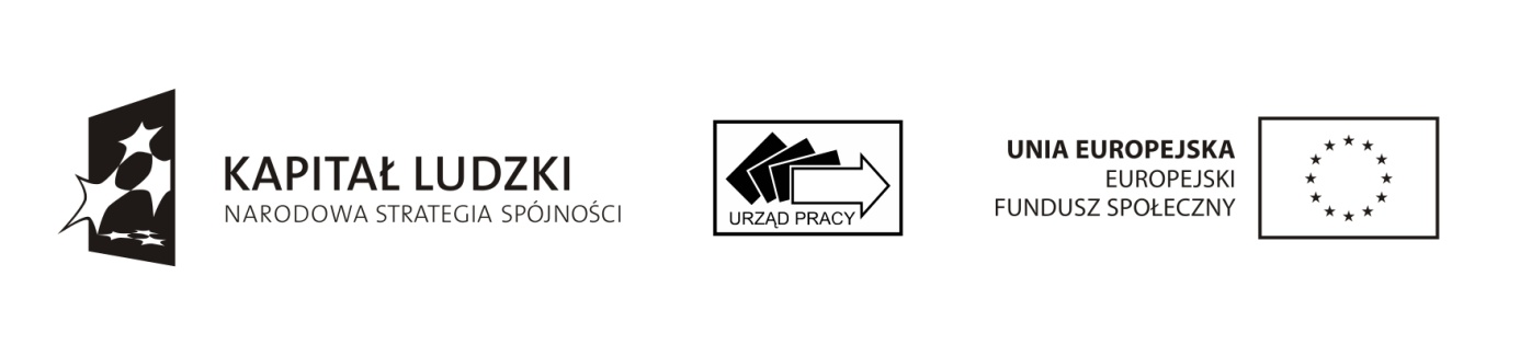Logo programu EFS